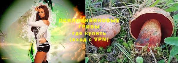 МДПВ Володарск