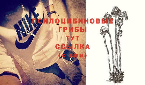 ALPHA PVP Верхнеуральск