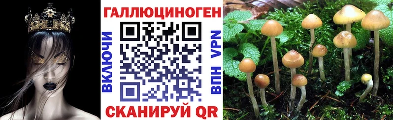 наркота  Жигулёвск  Галлюциногенные грибы мухоморы 